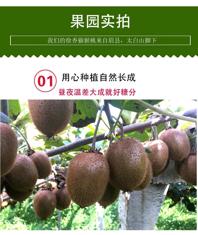 微信图片_20220918222407.jpg