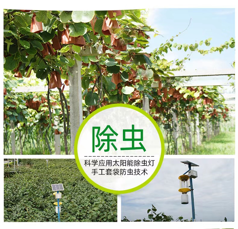 微信图片_20220918222433.jpg