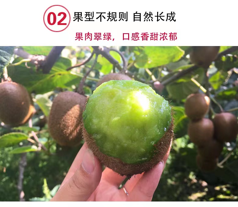 微信图片_20220918222415.jpg