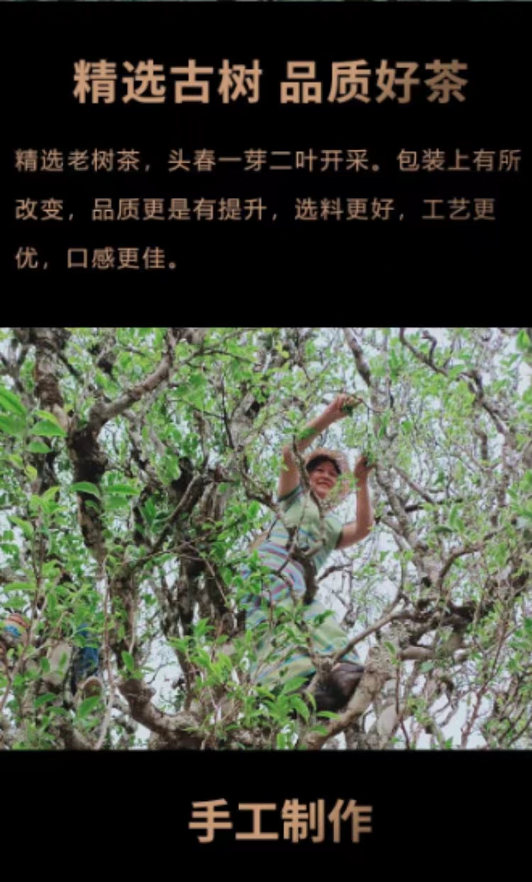 200e12c4-b894-4b64-9792-3a4eaf1f13d1.jpg